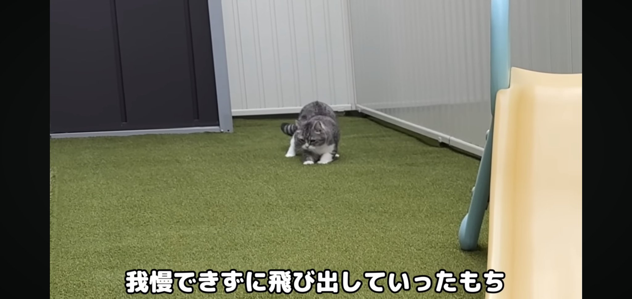 もちまる もちまる商店