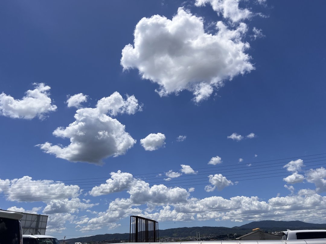 今日はいい天気ですね☀