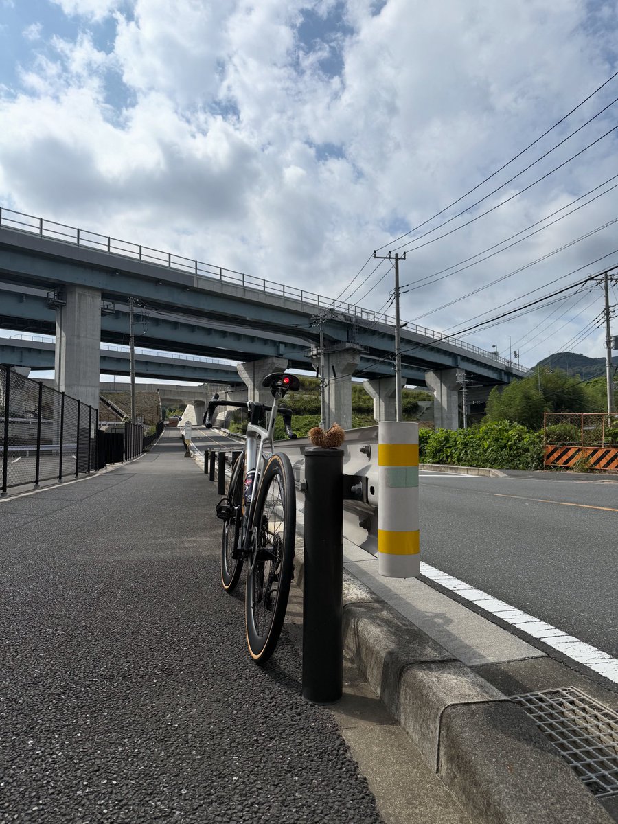 100_Colors's tweet image. 栗🌰が落ち始めたら秋認定

#ロードバイク 
#PROJECTONE 
#TREK 
#Madone 
#MadoneSLR