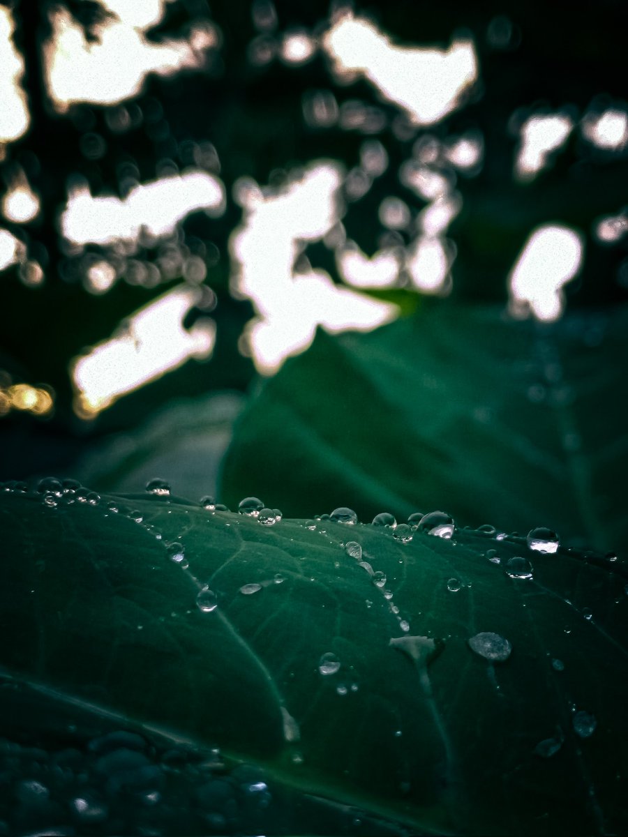 Shot on Tecno Camon 40
Color-tuned with <a href="/Lightroom/">Adobe Lightroom</a>