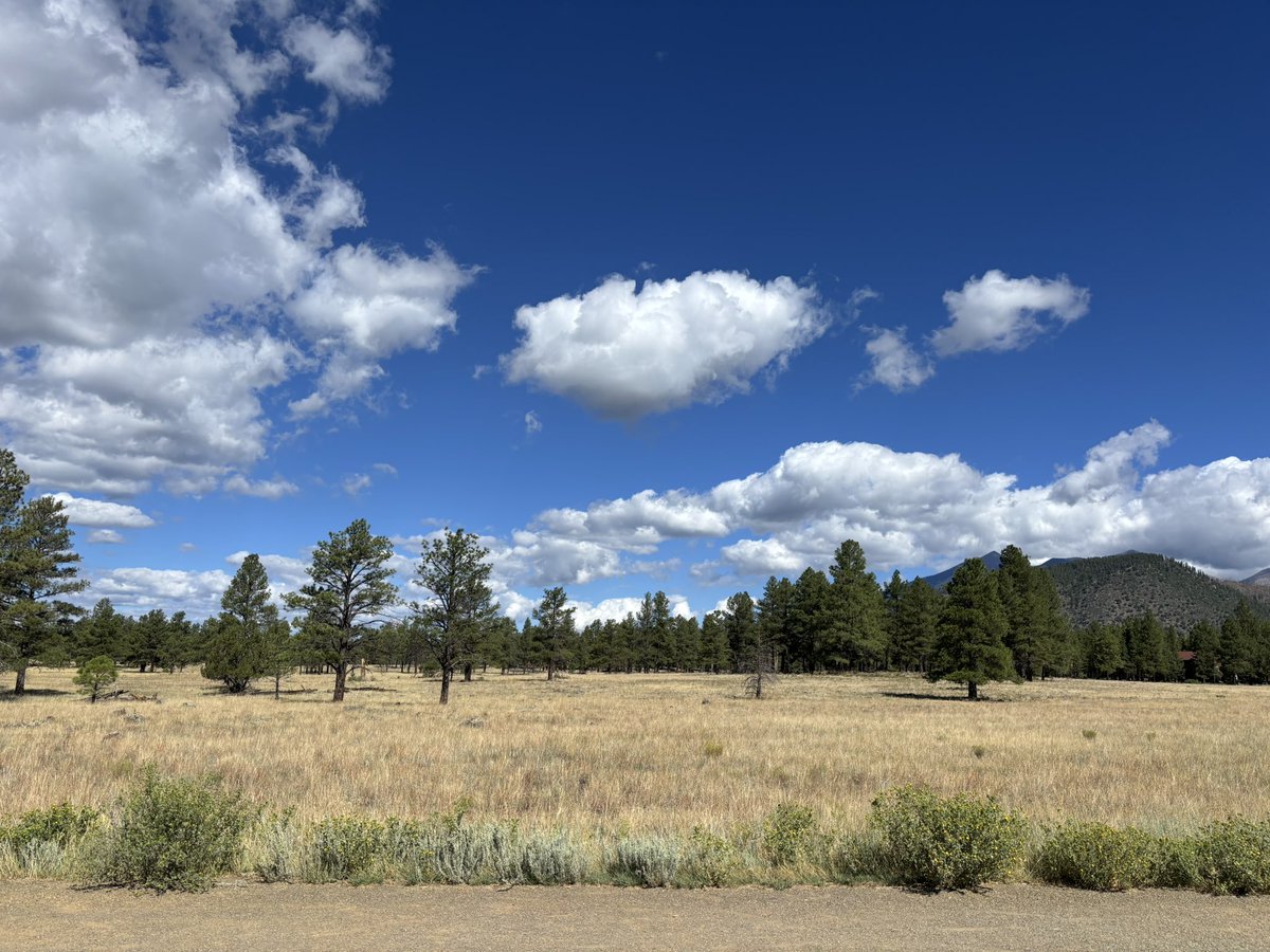 MRHS XC at the Peaks Invitational. Gorgeous day @