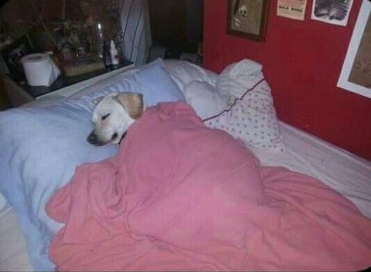 rozyholic's tweet image. Los vecinos del vive claro esta noche