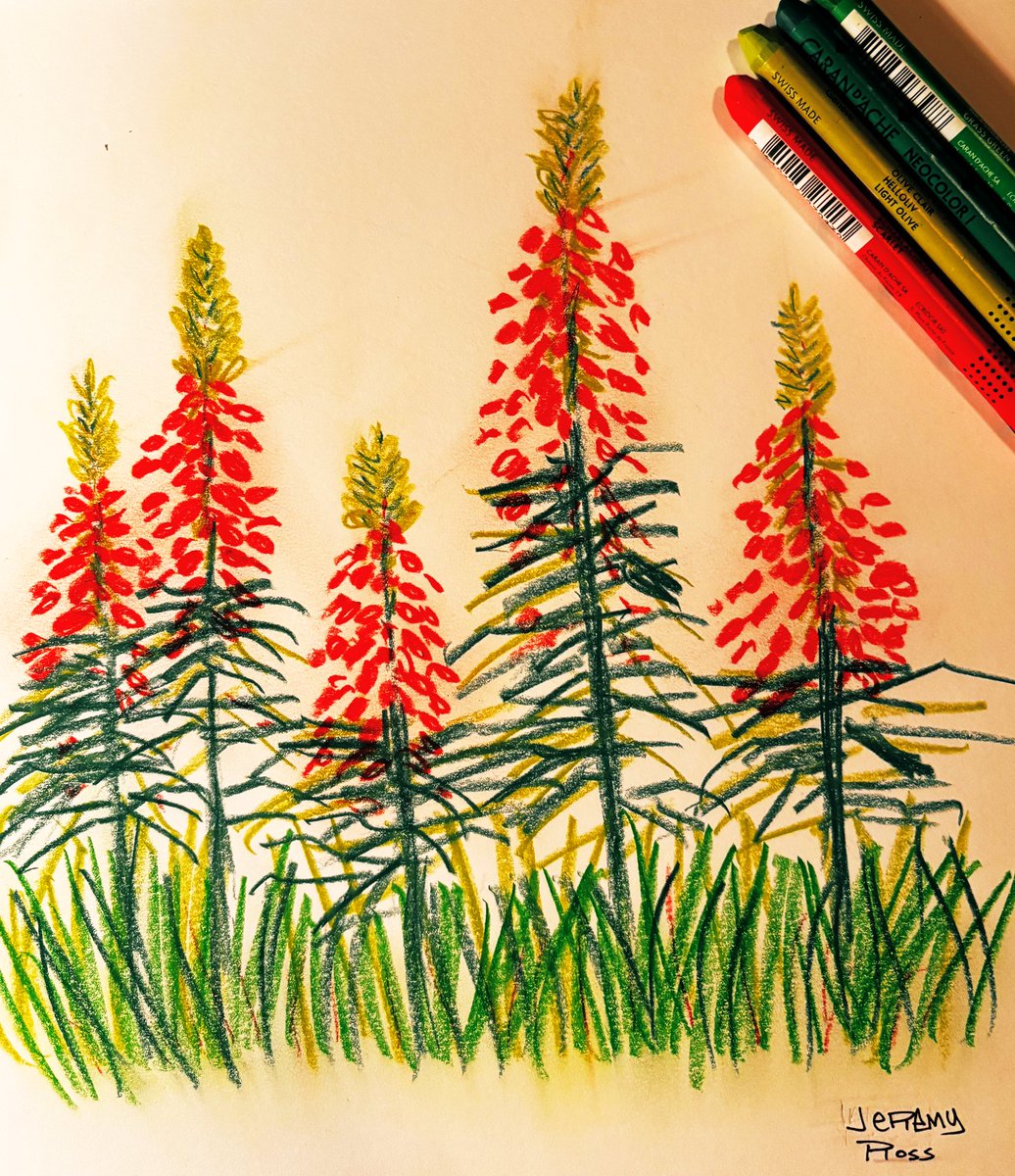 Day 22: Snap Dragon Flowers
#lillasStylePlay2025 #Snapdragon #flowers #sketchbook