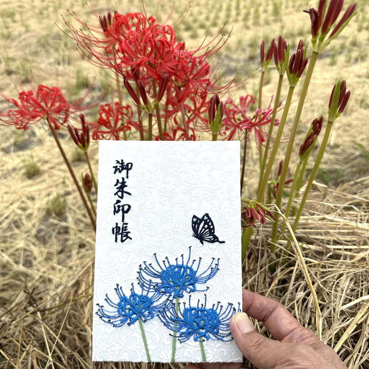 千糸繍院「匠」シリーズ
曼珠沙華
限定ver.の青の彼岸花の「夢幻ノ青」

前回、販売開始後10分で完売。
その後もたくさんのお問い合わせを頂いておりましたが、以下再販日が決定しました🙇‍♂️

10/1（水）18時～

おひとり様2冊までの購入制限を設けさせて頂き、お届けは即納‼️

senshishuin.com/?pid=188305896