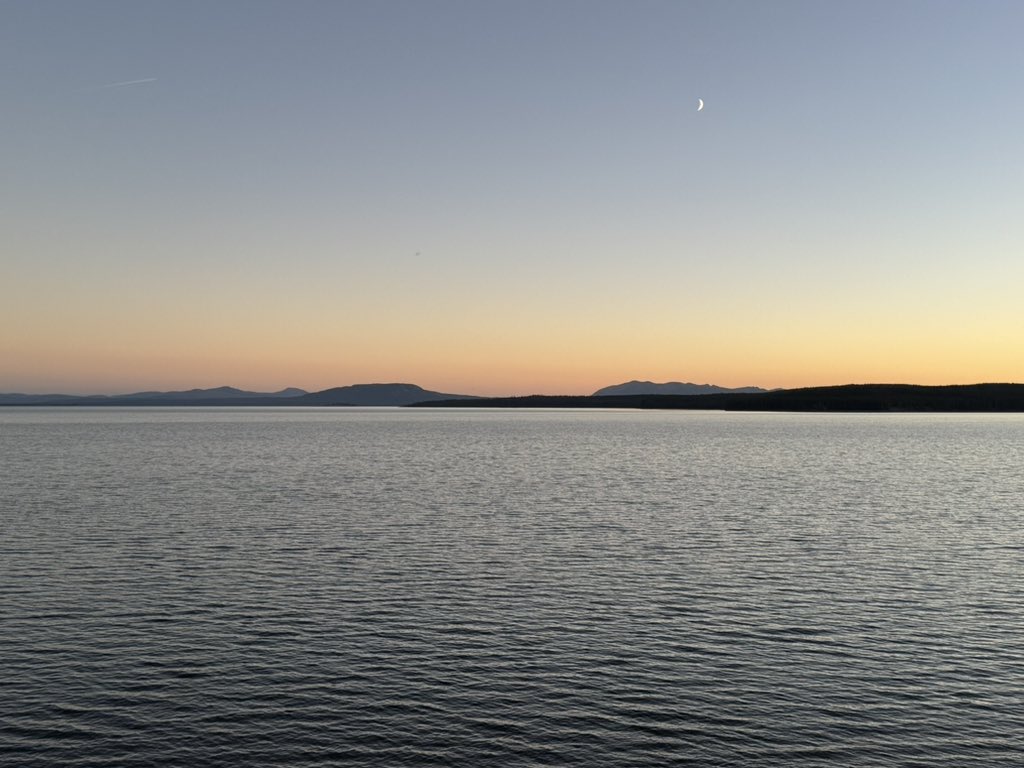 MappingThePath's tweet image. Dinner and sunset at the Lake Yellowstone Hotel in @YellowstoneNPS. I had the rabbit pot pie ravioli with herbed ricotta, she had the seared scallops with creamy mushroom sauce and fontina. Elk raced toward the lake as we ate. Splendid. #travel #foodie