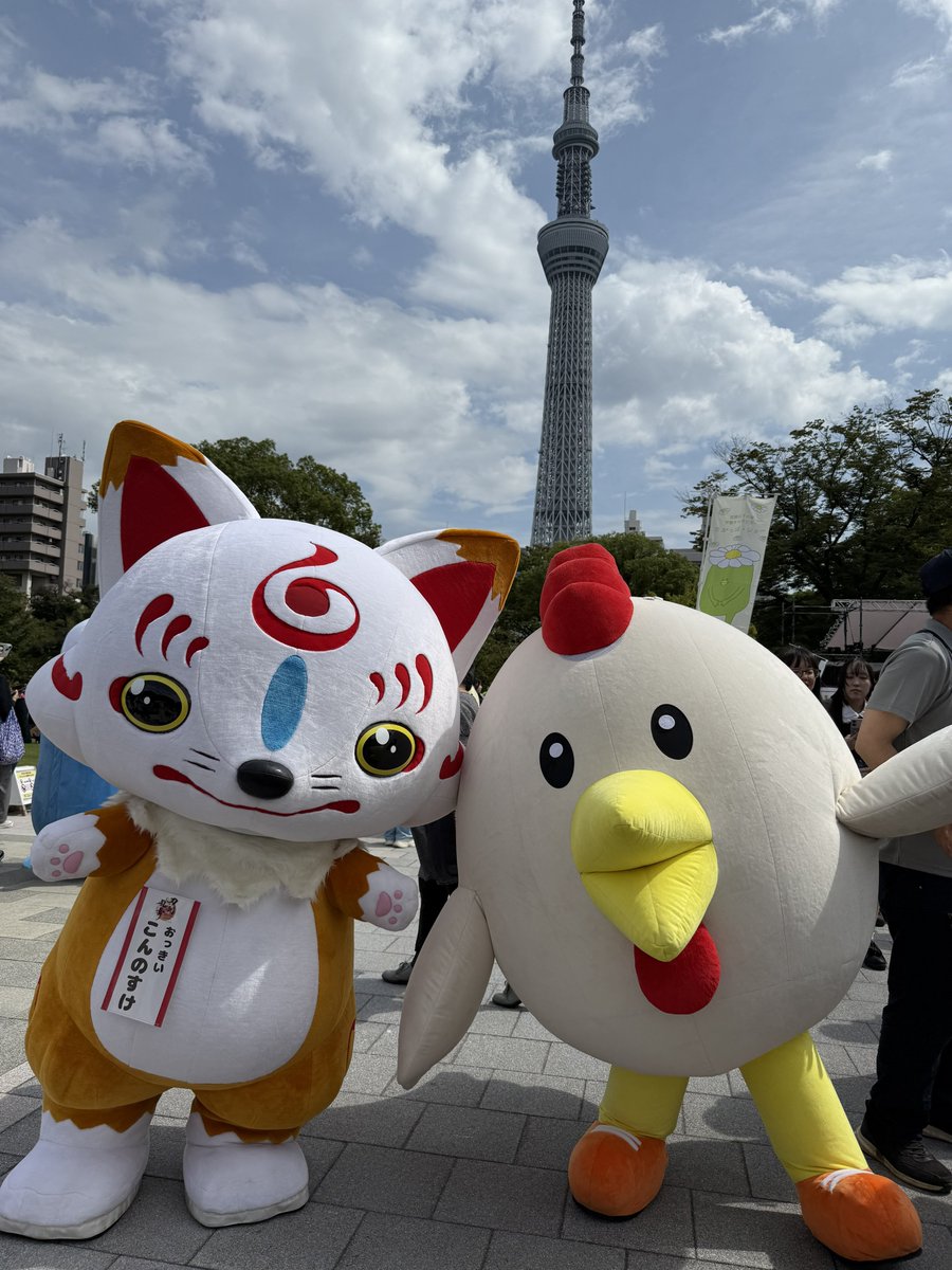 この後45分から
ステージ登場ʕʘ̅͜ʘ̅ʔ