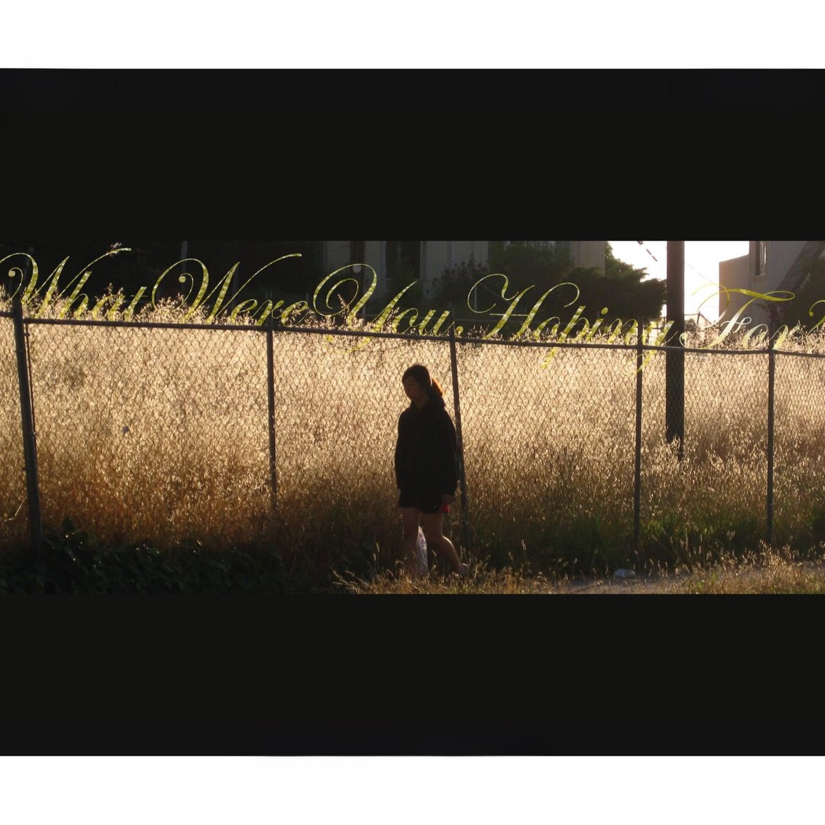 Van Hunt tweet media