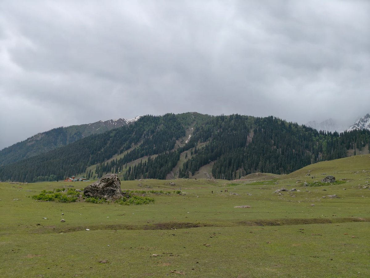 Good morning 
सुप्रभात 
السلام علیکم