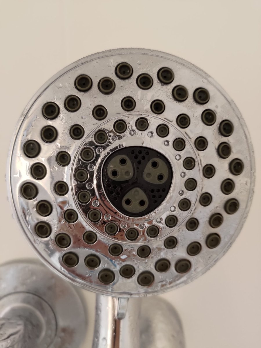 Sorry guys I can't unsee. My hotel shower head looks like little aliens.