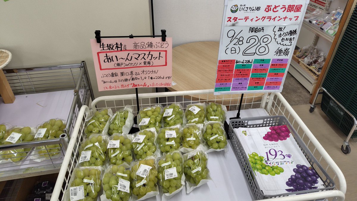 Toropicalboy's tweet photo. ぶどうを買いに長野県生坂村へ。ここの道の駅は期間限定でぶどう部屋が出来るのですが、これが凄まじい。部屋一面がぶどうだらけ！
いやー、ぶどうばっかり買ってしまった。お目当てのティアーズレッドも無事GETです😆 https://t.co/h7oKG36YlI