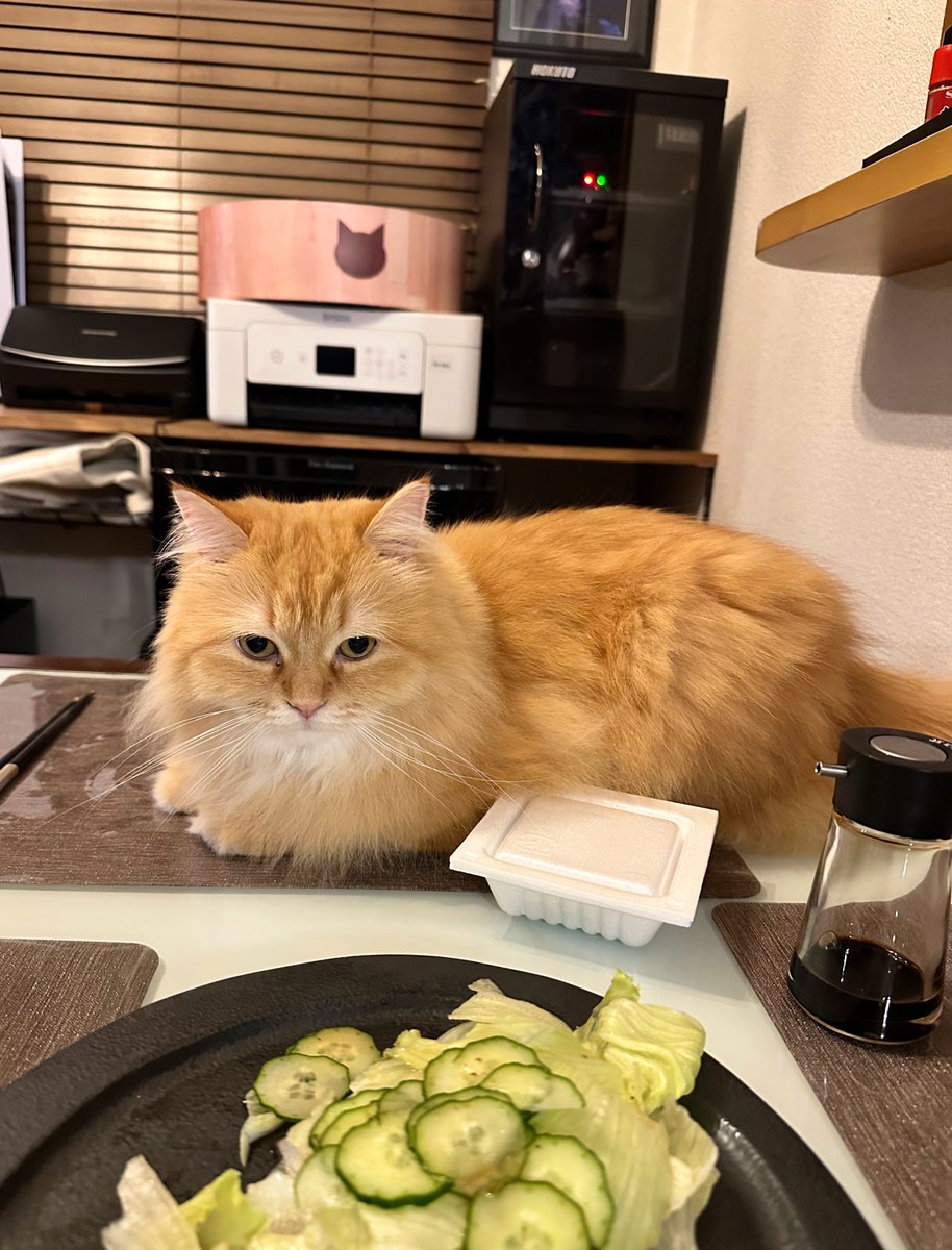 サラダ、納豆、お吸い物、以上が昨夜の晩御飯です。