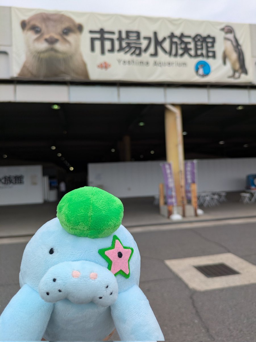 バスケの前に市場水族館
マナやんお迎え🥰