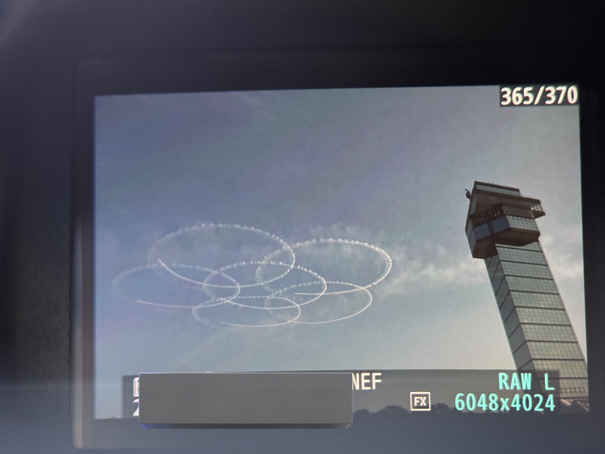 昨日のブルー
逆光側多くてこれぐらい