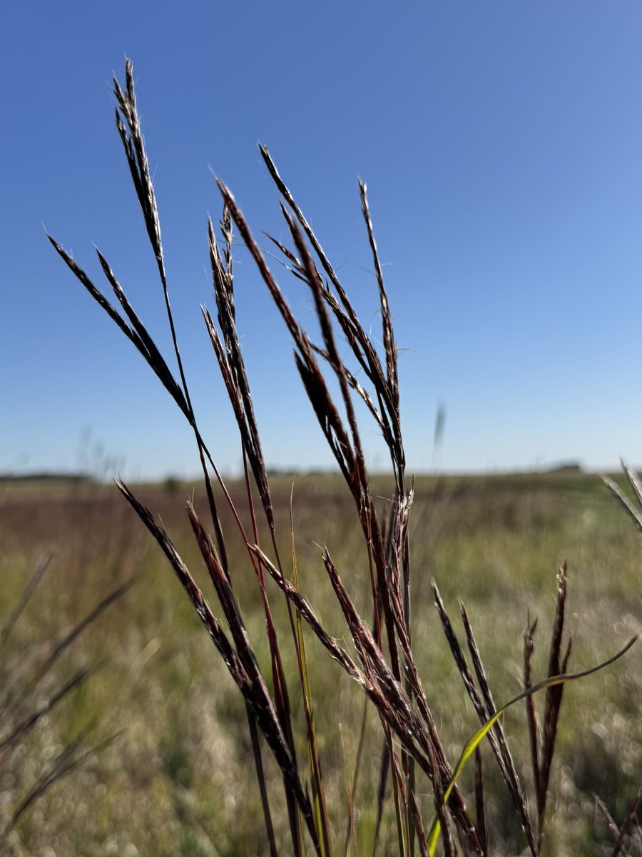 Day 5: The 1st question Jonathan asked me this morning is if I wanted to go for a drive to see the tiling project. Silly, uncaffeinated me didn’t ask any followup questions, like what we were driving. So many laughs trying not to spill coffee. I love moments like these!