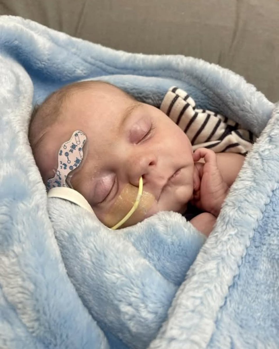 Learn_wit_Clara's tweet image. Tonight is heavy. Just as we thought we were seeing our happy boy return, Jax’s oxygen levels dropped dangerously low. No amount of support seemed to help, and we watched the numbers hover stubbornly in the 70s.
The doctors decided on a blood transfusion, hoping it would give…