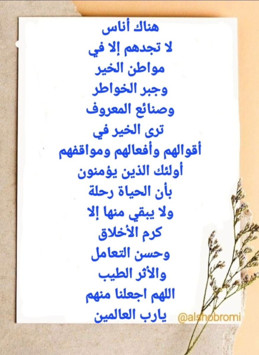 أبو أمجد (@apoamjd10) on Twitter photo 