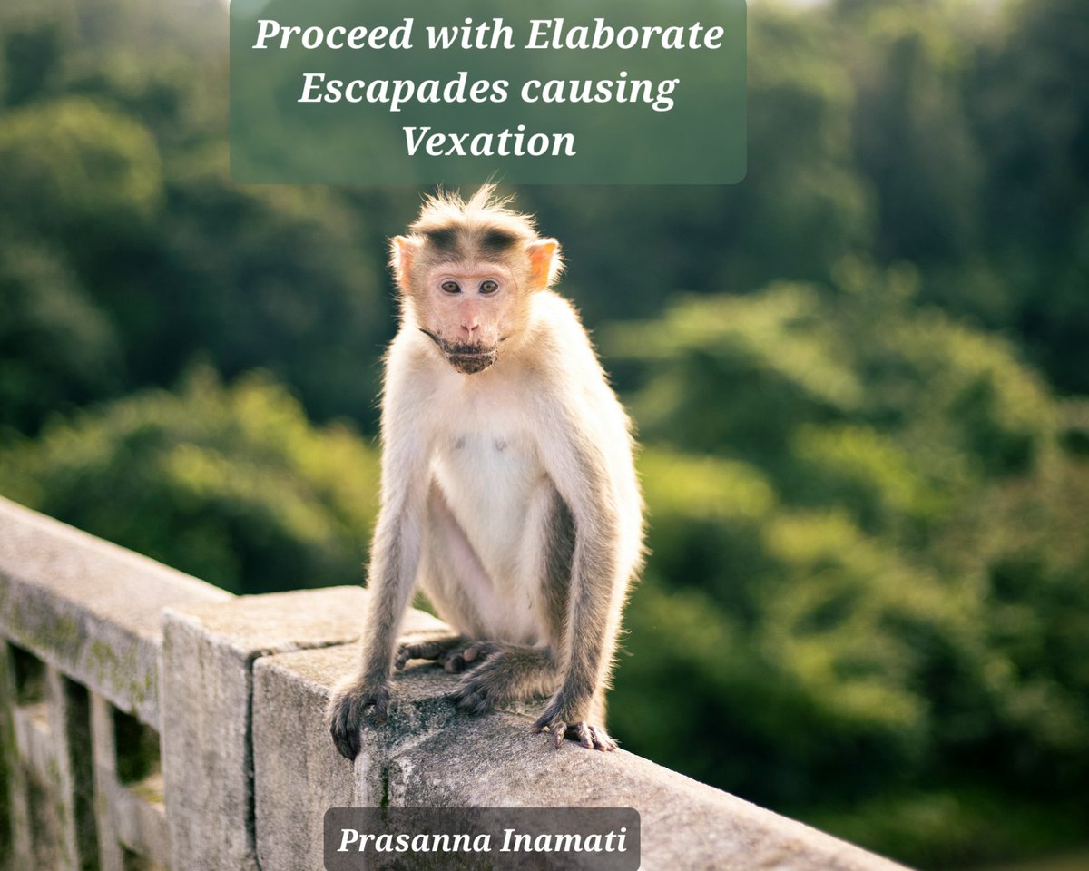 Morgan_R_R_Haze's tweet image. #Storyin6 #Firewords #UnchainedSymphonies
Proceed with Elaborate Escapades causing Vexation 
Prasanna Inamati unsplash.com