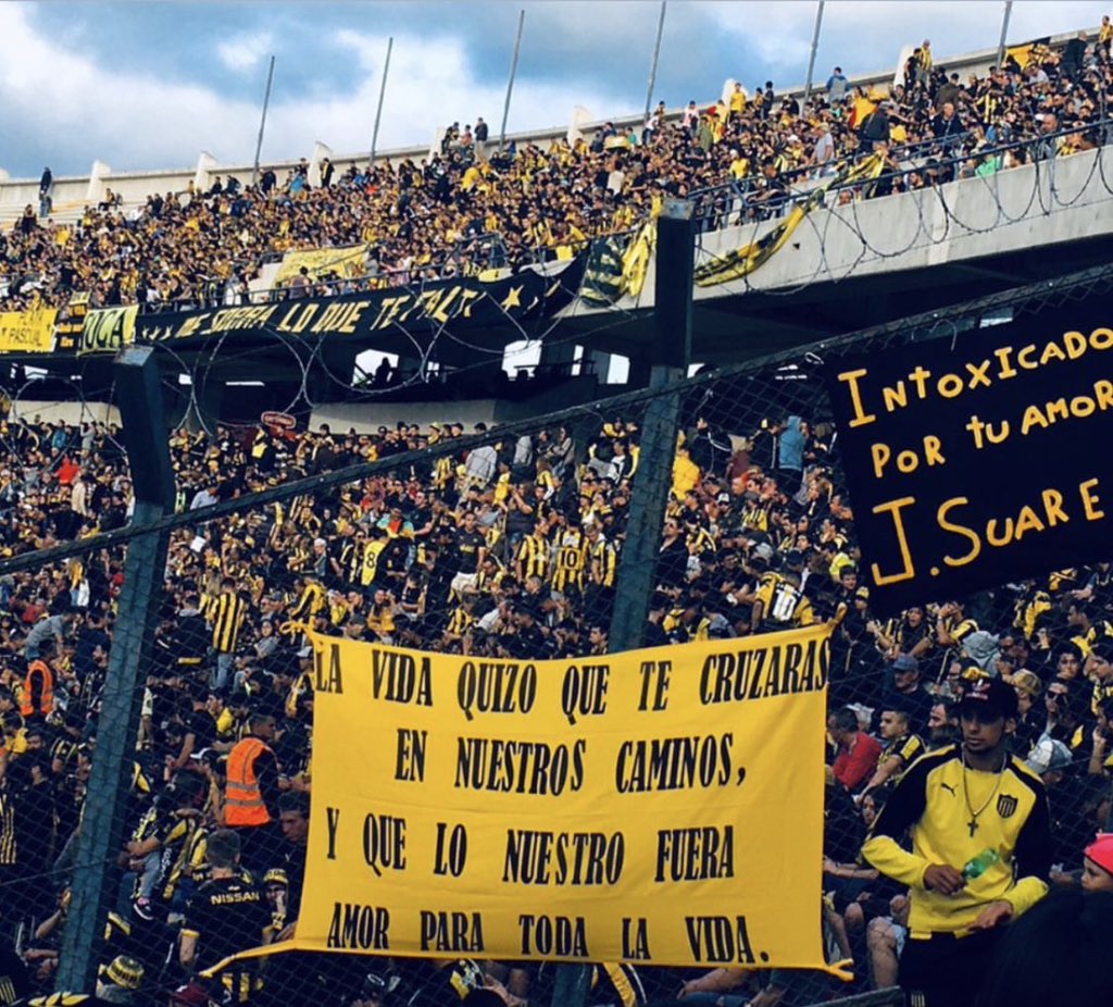 dsaagus's tweet photo. te amo Peñarol https://t.co/CSsfSgwKon