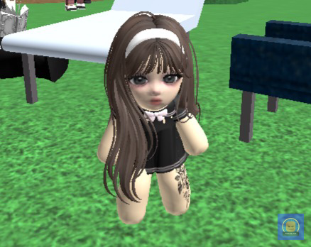 Roblox Fess tweet media