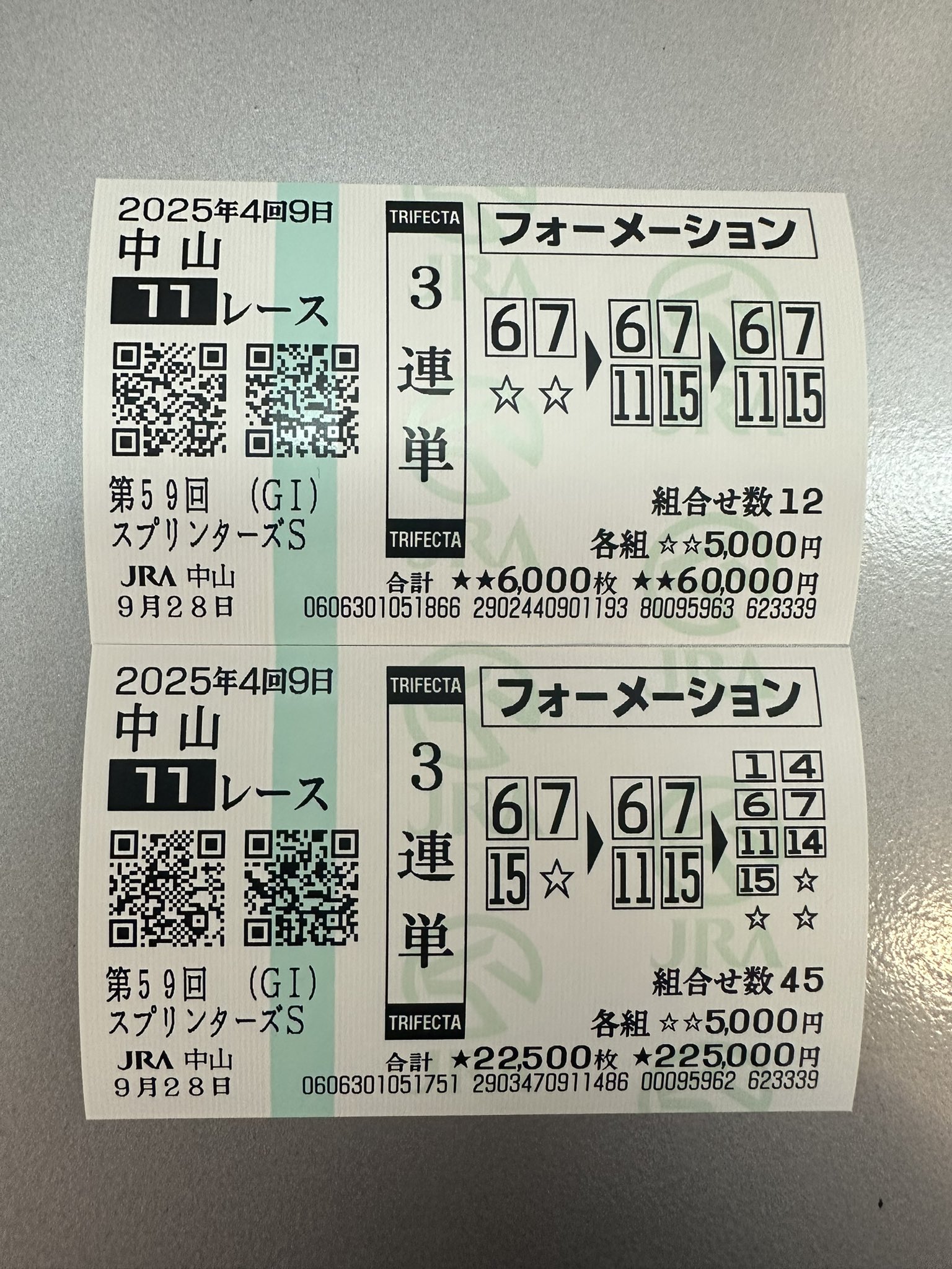京都大賞典⑭番アイアンバローズ応援馬券 京都大賞典⑭番アイアンバローズ応援馬券 京都大賞典【2024年10月