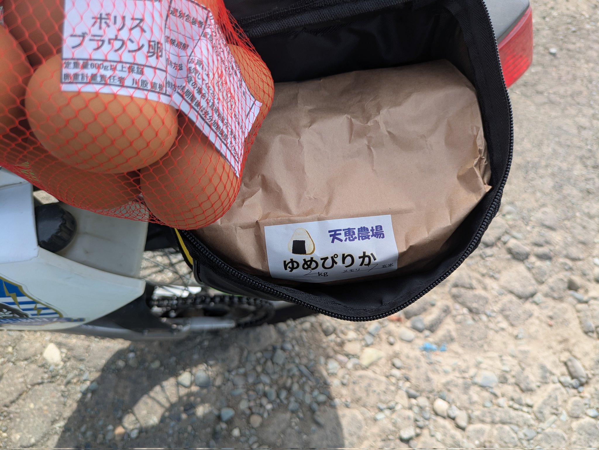 クマさん 楽天市場】クマ Sサイズモンチッチフレンズ くま クマ 熊 kuma