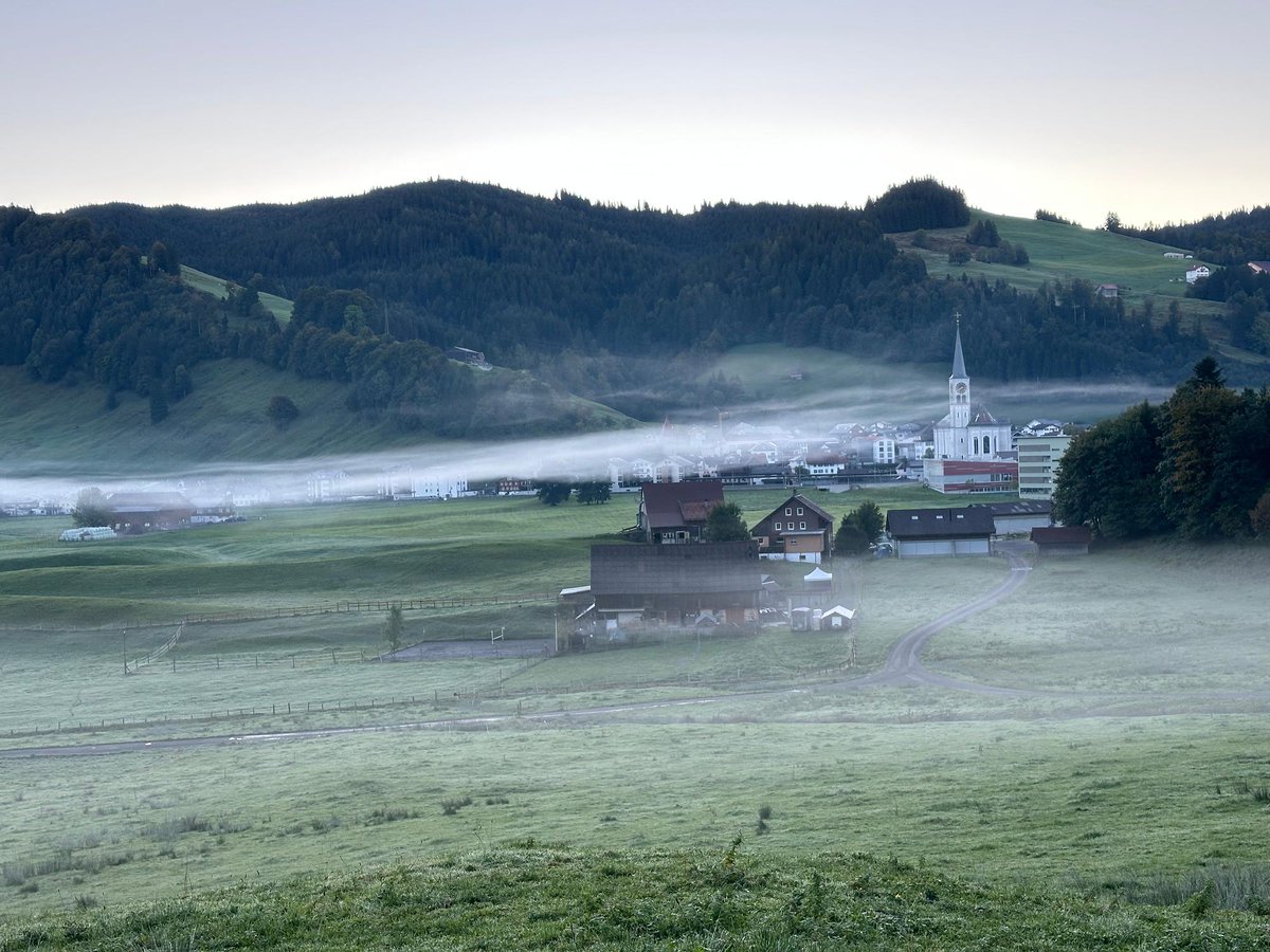 meteoschweiz's tweet image. Wiesennebel, Hochnebel, Seerauch und klassischer #Nebel - das Tief, welches uns letzte Woche beschäftigt hat, ist in die Adria gezogen und hat diesen herbstlichen Hochdruck-Phänomenen Platz gemacht. Bilder: Meteo Meldungen, MeteoSwiss App