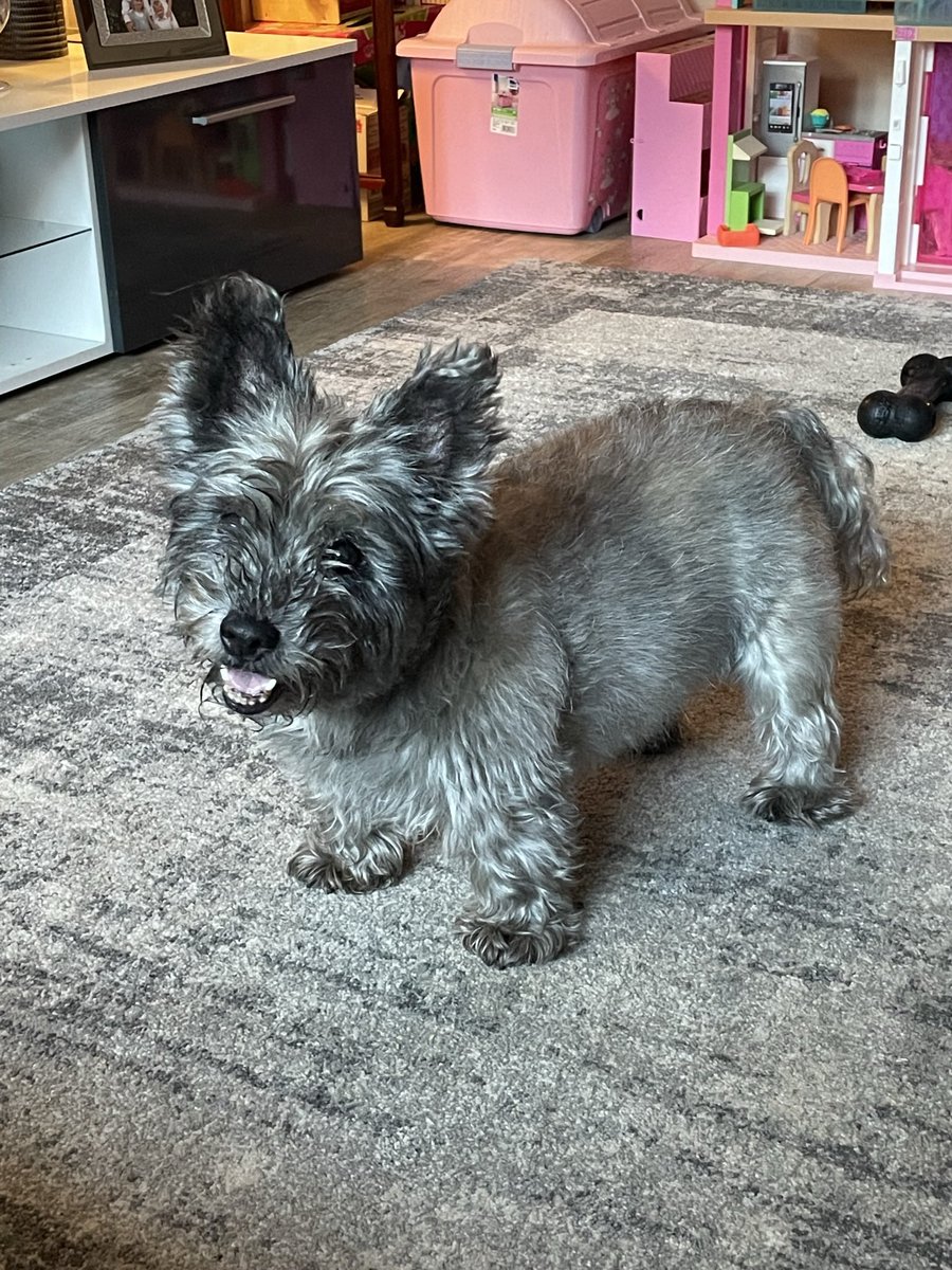 matt whatley tweet media