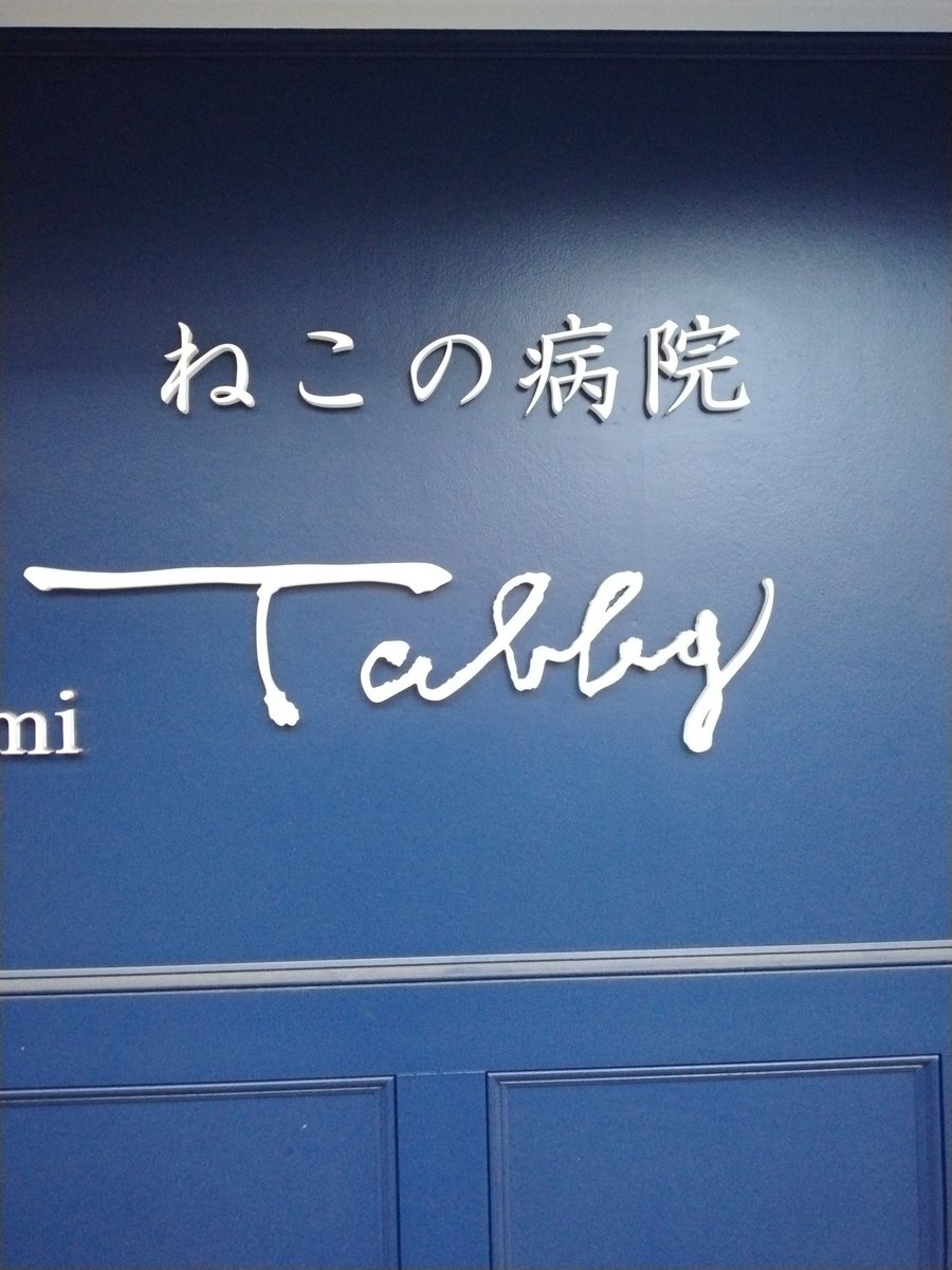 猫の手よりも猫の瞳を借りたい。声を借りたい。爪も借りたい。