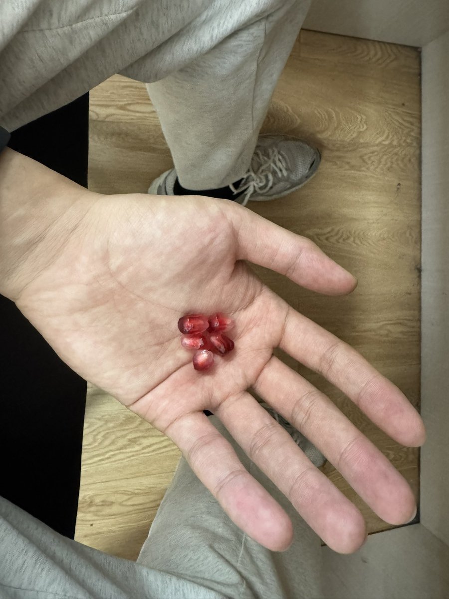 这鸽子血艳红如血😘