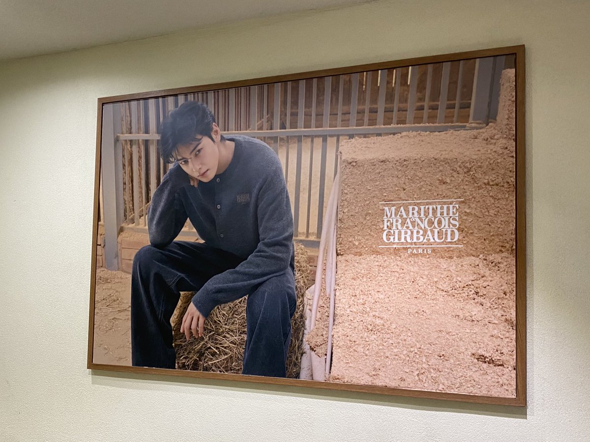 asmoon_6's tweet photo. 久しぶりに韓国いったらウヌさんいっぱいいた🩵 https://t.co/kzVYycxCjN