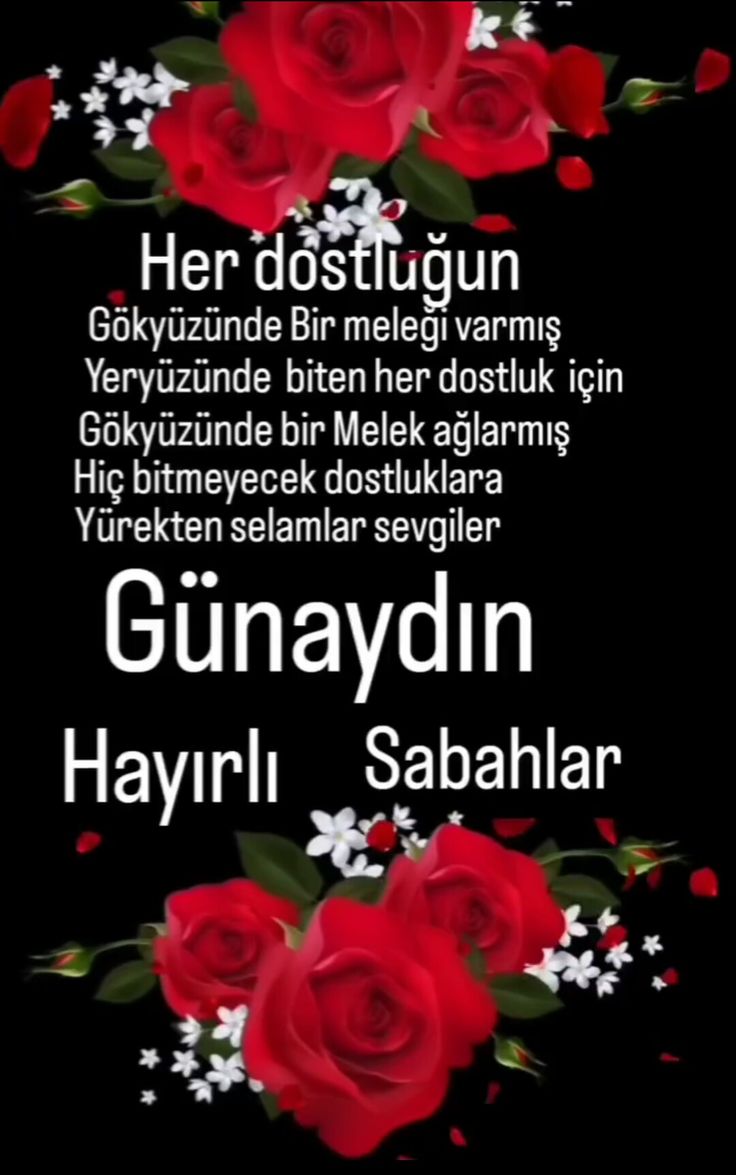 Selamün Aleyküm Günaydın keyifli bir pazar günü diliyorum herkese. 🌺🌹🤲❤️🌷🌺🍁🌿🦋🍂🌿🍁❤️