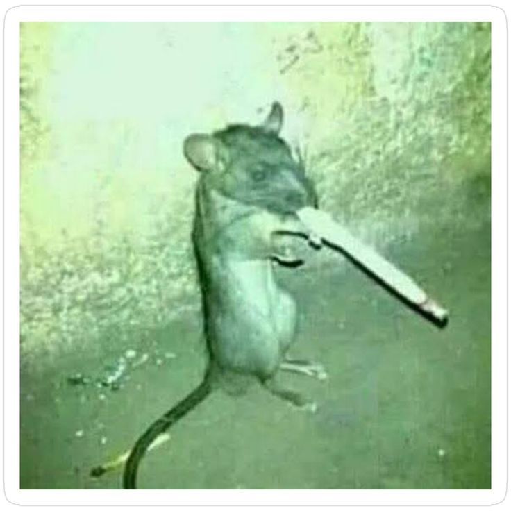 volatil3_ tweet media