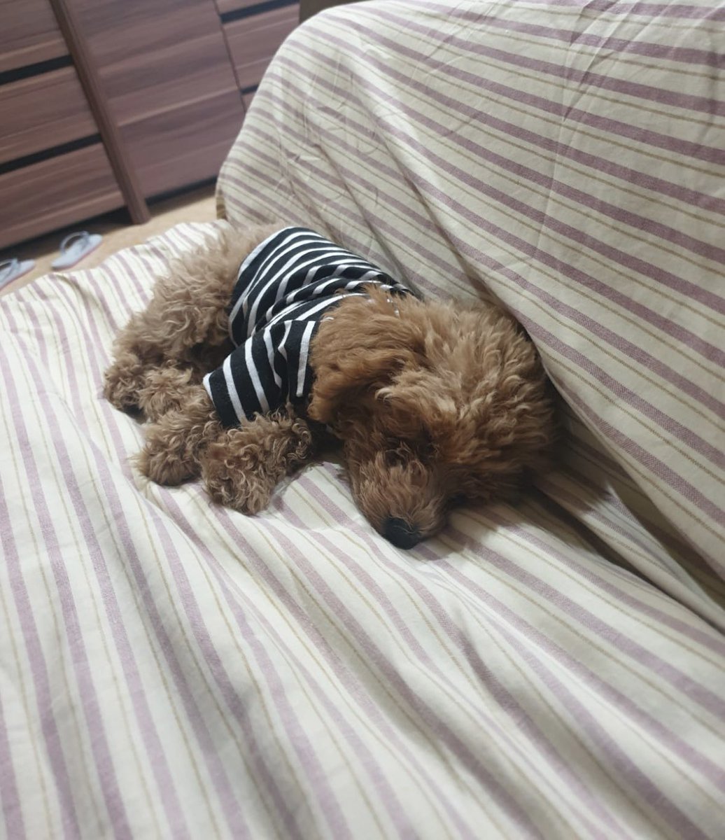 t9ruby's tweet image. Gmonad!! Happy sunday everyone 💜

@monad @monadpets