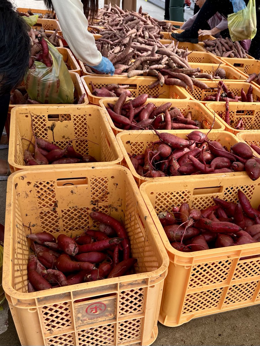 🌹ゆとり🌹 tweet media