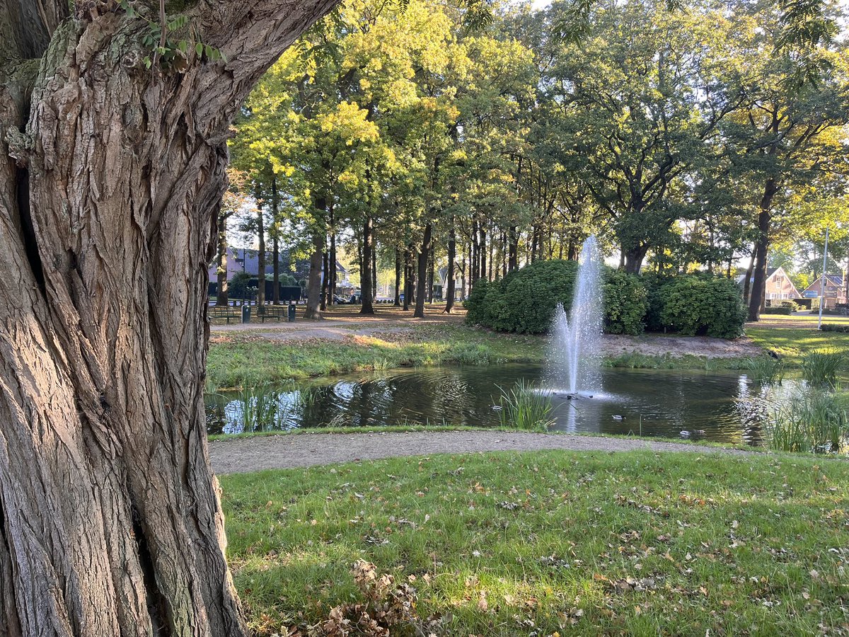 Friso Geerlings tweet media