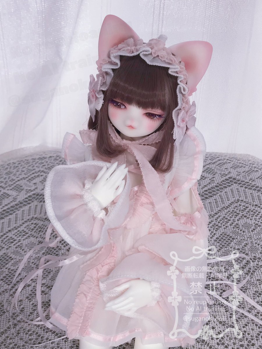 お嬢様に天使のロリータフリルドレスを着ていただきました…👼

ウィッグは #カカプラネット さん