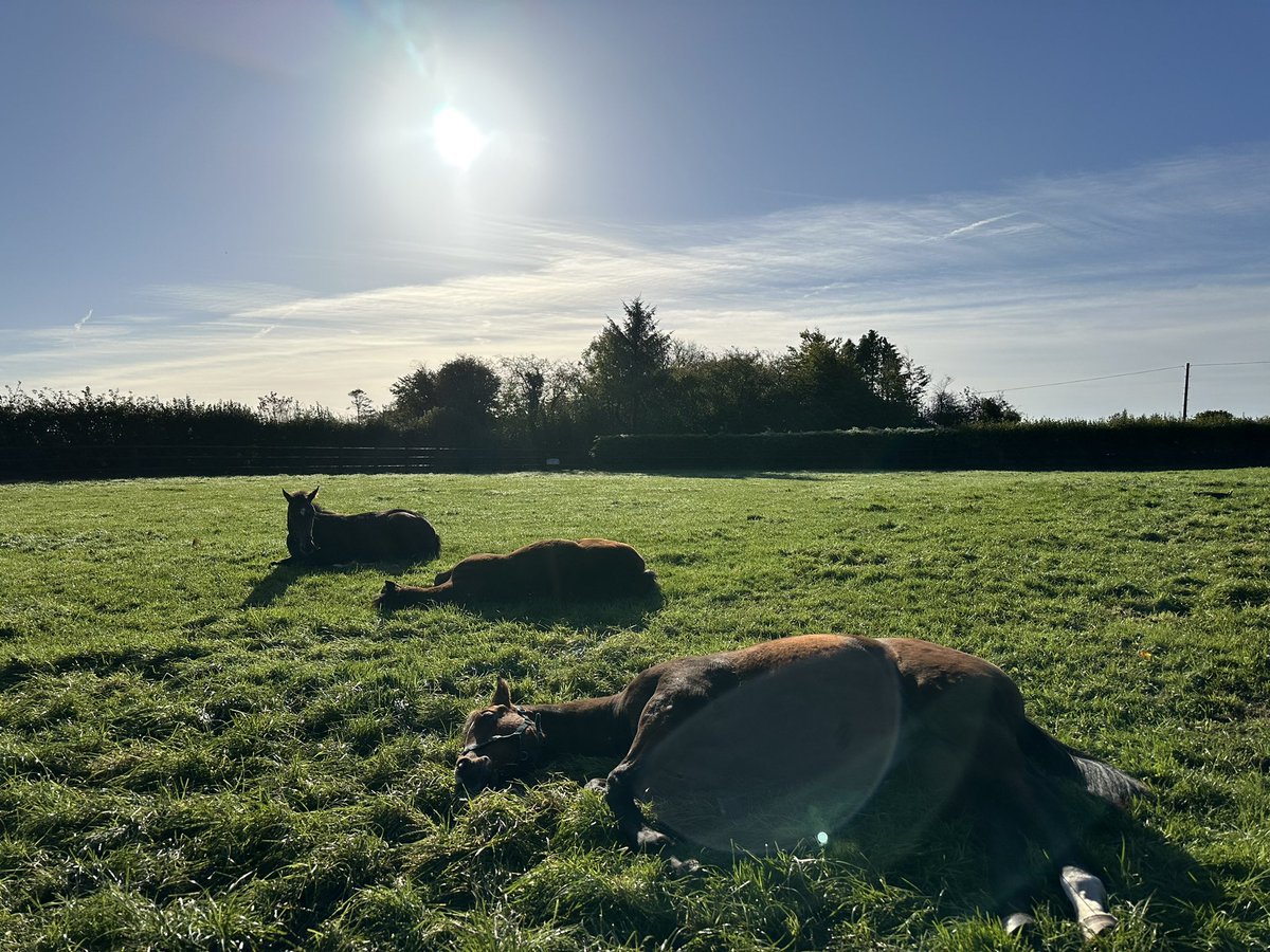 What Sundays are made for!