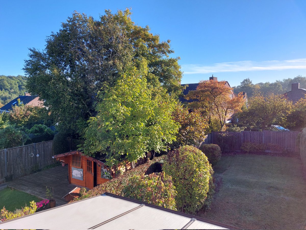 mathildeontwit's tweet image. Goedemorgen en een fijne zondag vanuit het zonnige zuiden des lands 😉☀️