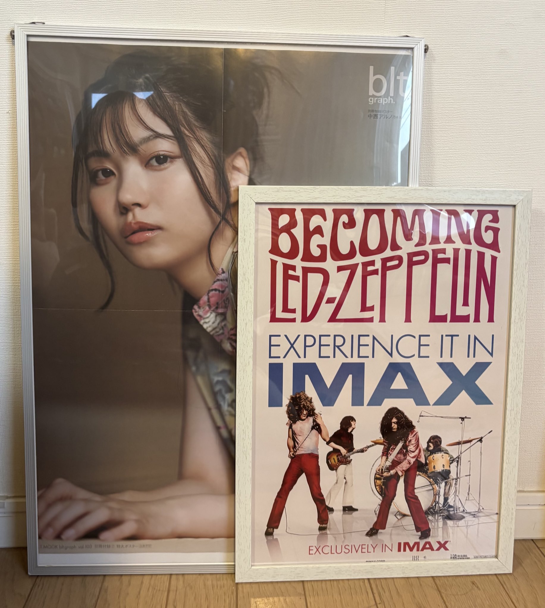 超貴重☆当時物☆Led Zeppelin☆コンサートポスター☆ Led Zeppelin － Dallas 1977 The Video （Gift DVDR