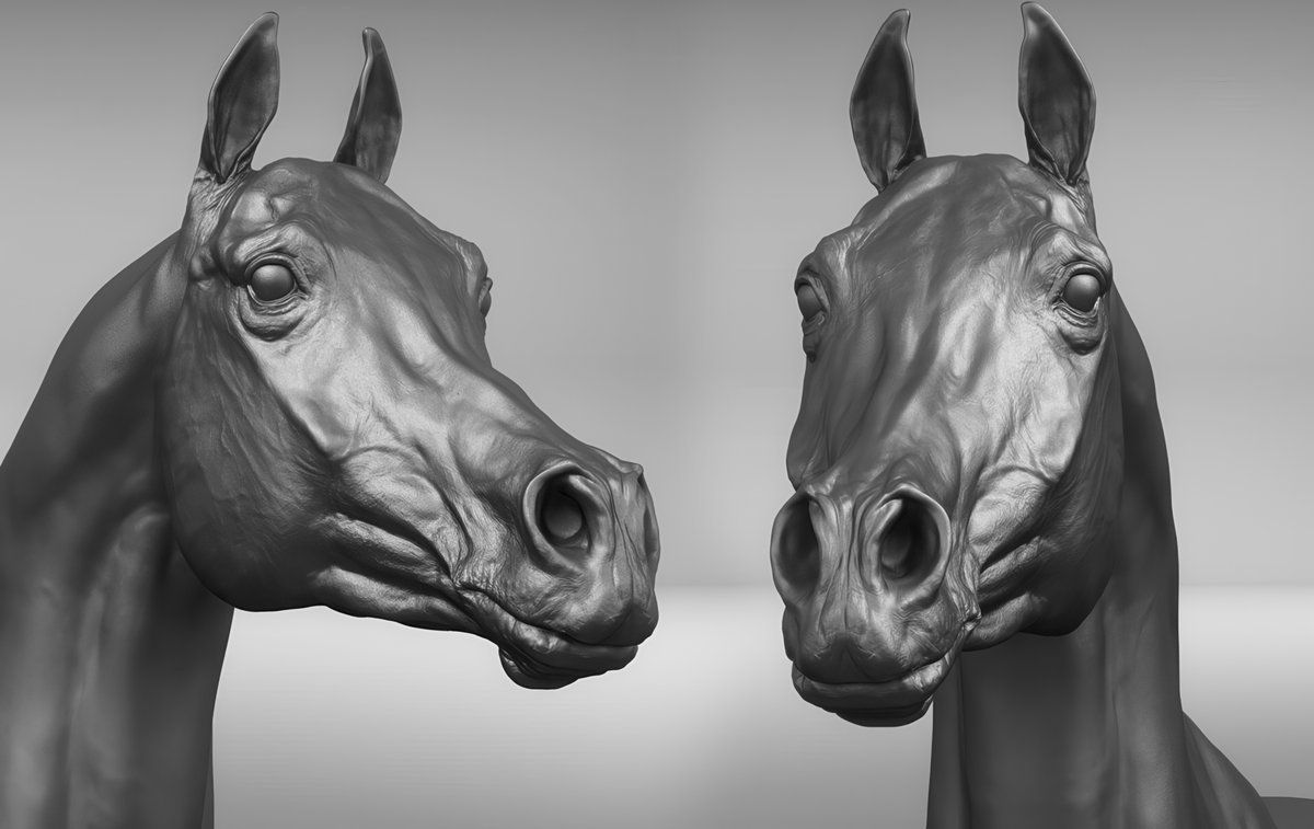 How are you, gentlemen artists? And I will share with you #references and images on sculpting #Anatomy #Animals Pack №26 #3d #gamedev #3dart #hand #modeling #3DModel #sculpting #leg #dog #gameart #zbrush #horse #snake #ecorche #sculpture #muscles #chest #ears #neck #cat