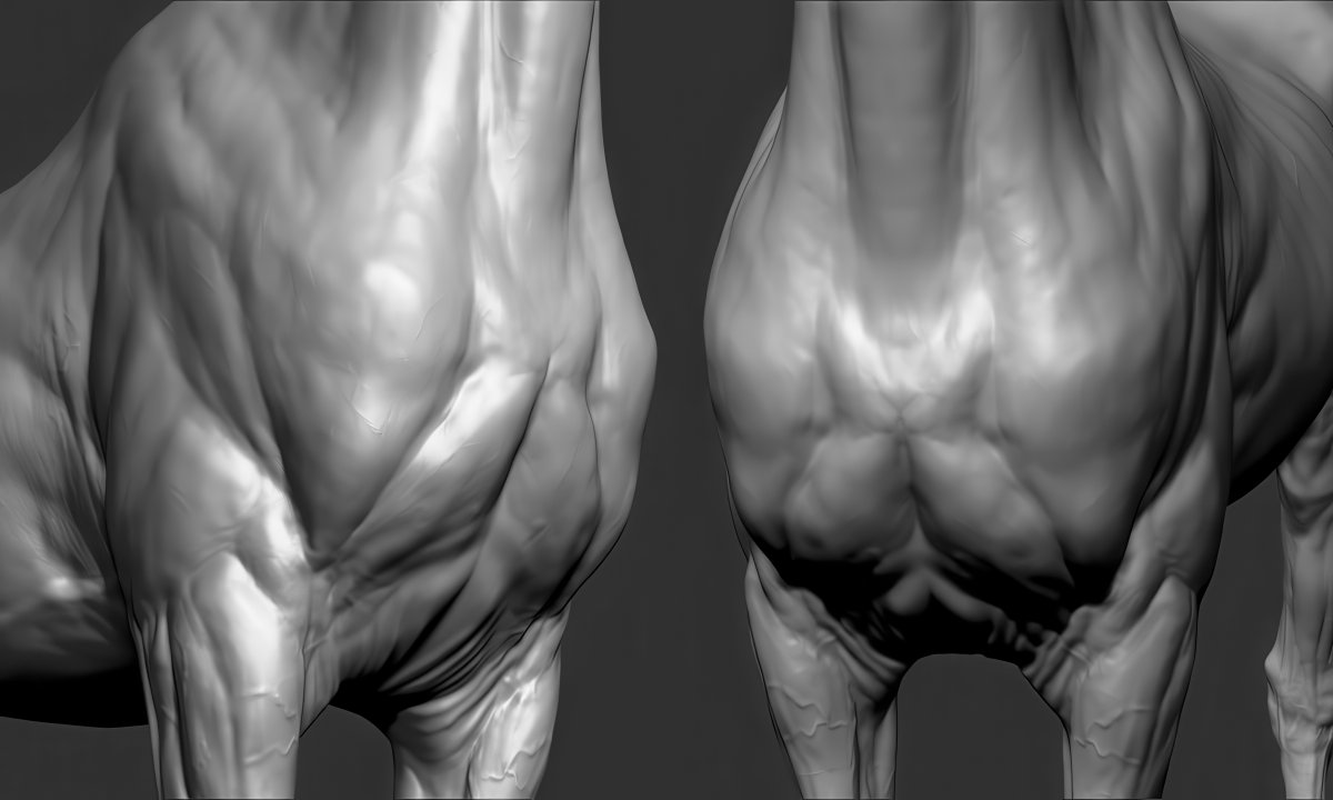 MitsArt3d's tweet photo. How are you, gentlemen artists? And I will share with you #references and images on sculpting #Anatomy #Animals Pack №26 #3d #gamedev #3dart #hand #modeling #3DModel #sculpting #leg #dog #gameart #zbrush #horse #snake #ecorche #sculpture #muscles #chest #ears #neck #cat https://t.co/3We9LKgYLk