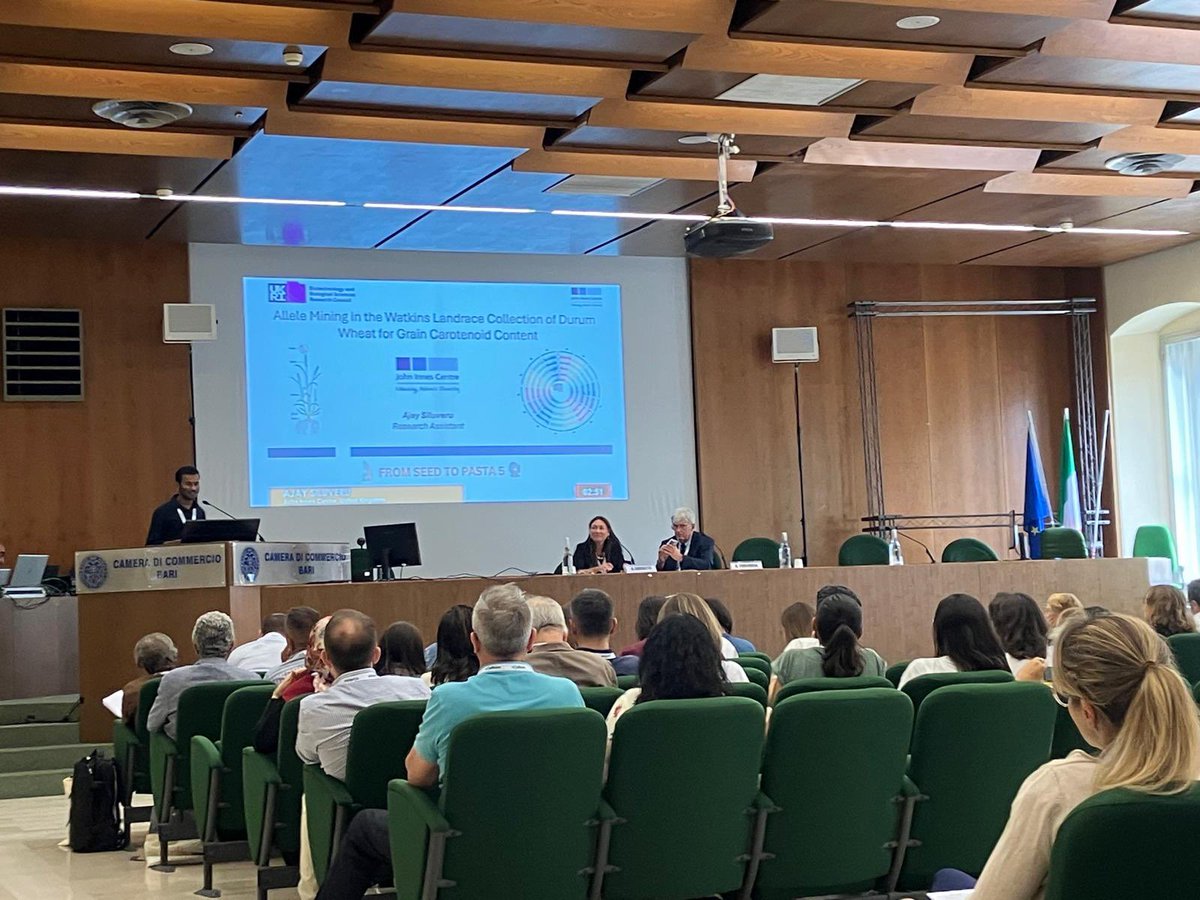 Ajay_Siluveru8's tweet photo. Pleased to have presented my work as talk and poster, at Seed to Pasta 5 International Conference.
A great experience meeting experts and learning from the global wheat breeding & research community!
#SeedToPasta5 #WheatResearch
#Wheatgenetics https://t.co/liX4Bys9fZ