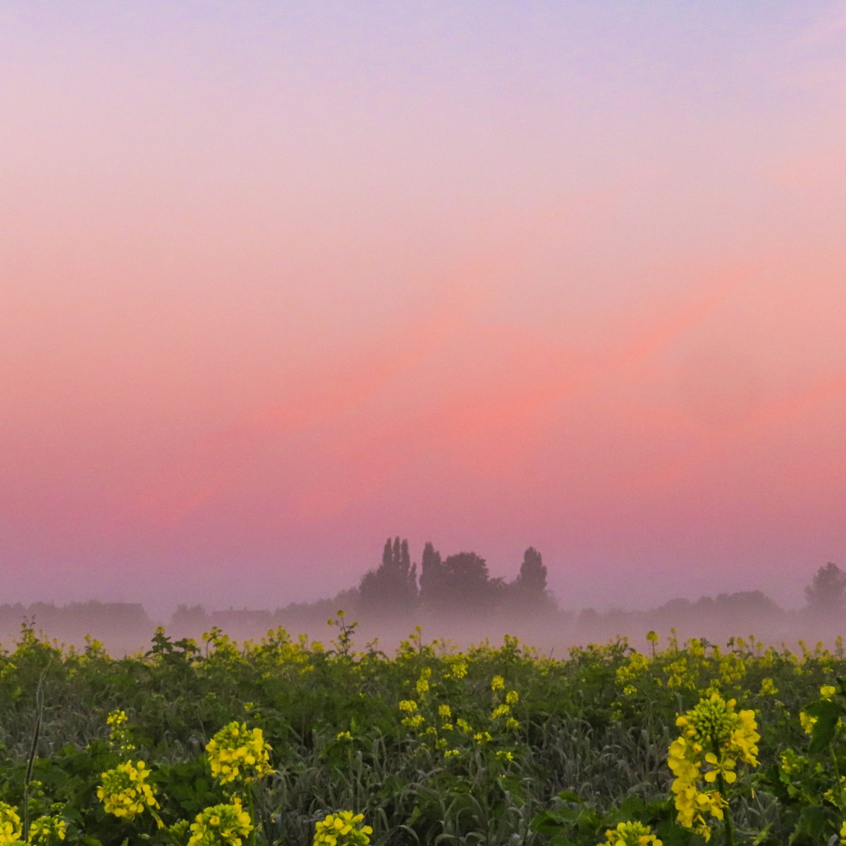 whrd1's tweet photo. Willy Huys, Heestert #vrtweer https://t.co/vvTWqteoYA