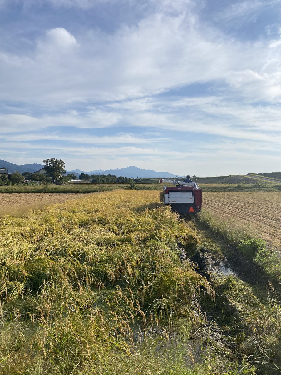 金粉ショウat.松本から一夜明け
今日から実家に帰り稲刈りです🌾