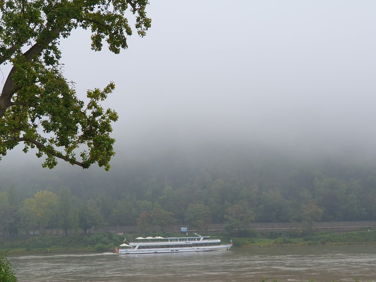 Moin zusammen und allen einen schönen Sonntag 😊☕️🍀🌞