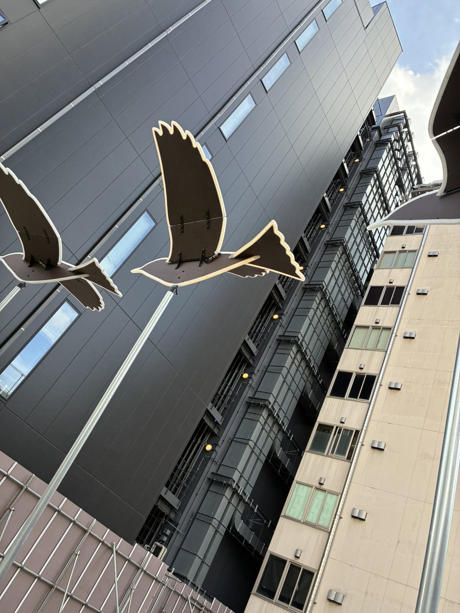 #六本木アートナイト2025 
うろうろ