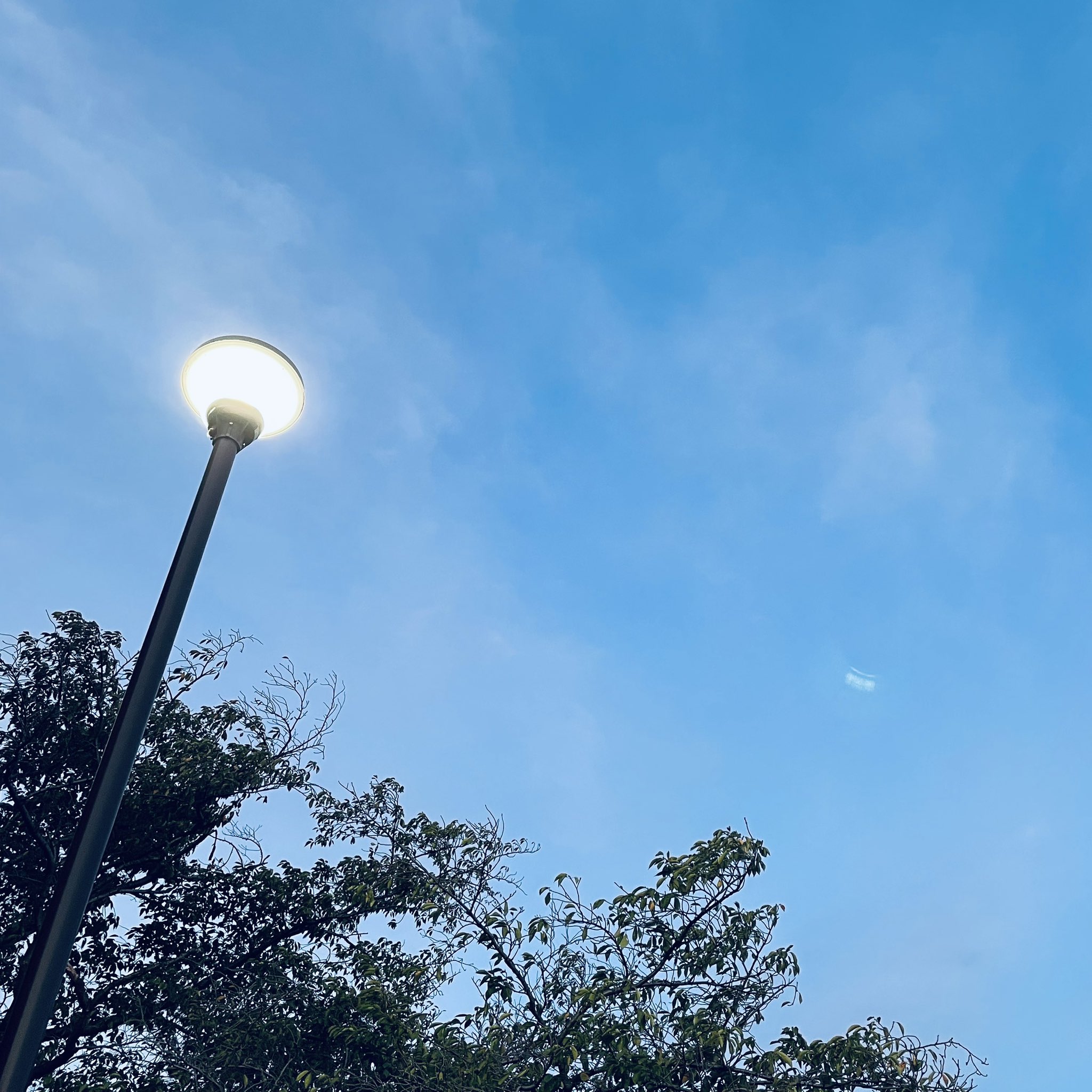 そら追加　　夕空　空　雲　小物入れ 空 #そら #雲 #カコソラ #過去そら #青空 #ひこうき雲 #空色