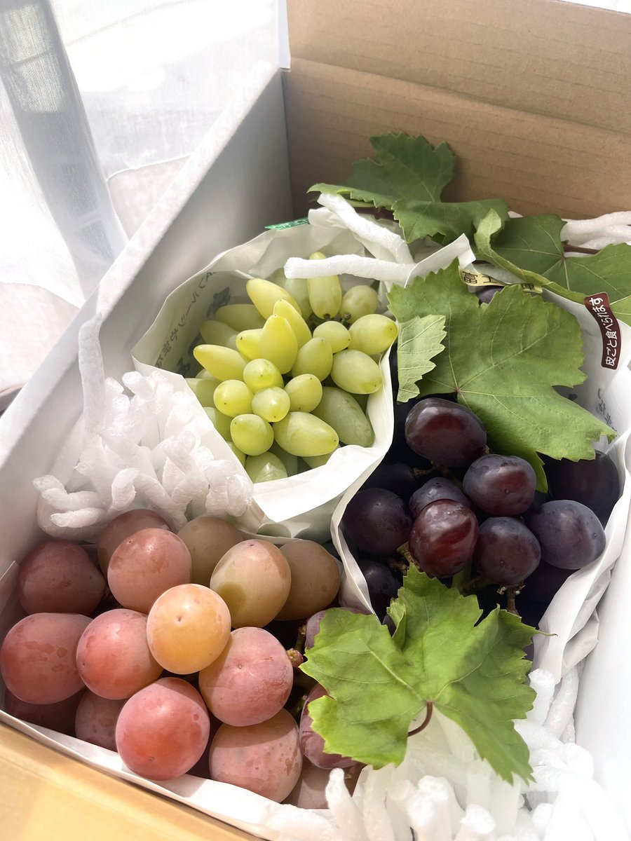 先月はスイカで今月はぶどう送ってくれた👦
来年はスイカの美味しい新潟かブドウの山梨にでも住もうかな🍇