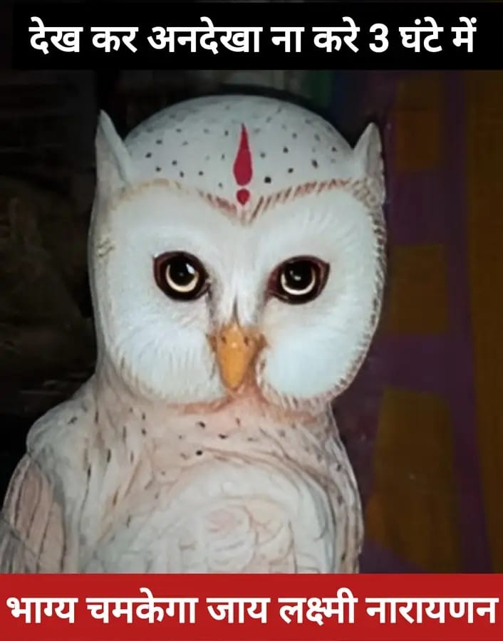 घर का वैद्य tweet media