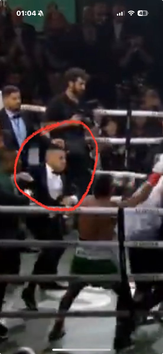 Alpha NFT Br tweet media